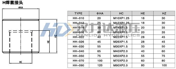 H焊套接头外形尺寸图.jpg
